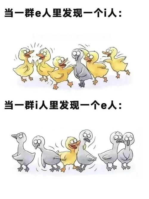 图片 3.png
